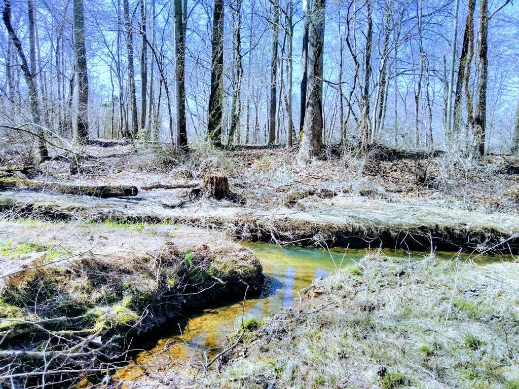 Piscataway Creek Stream Valley Park | Cheltenham, MD 20623, USA