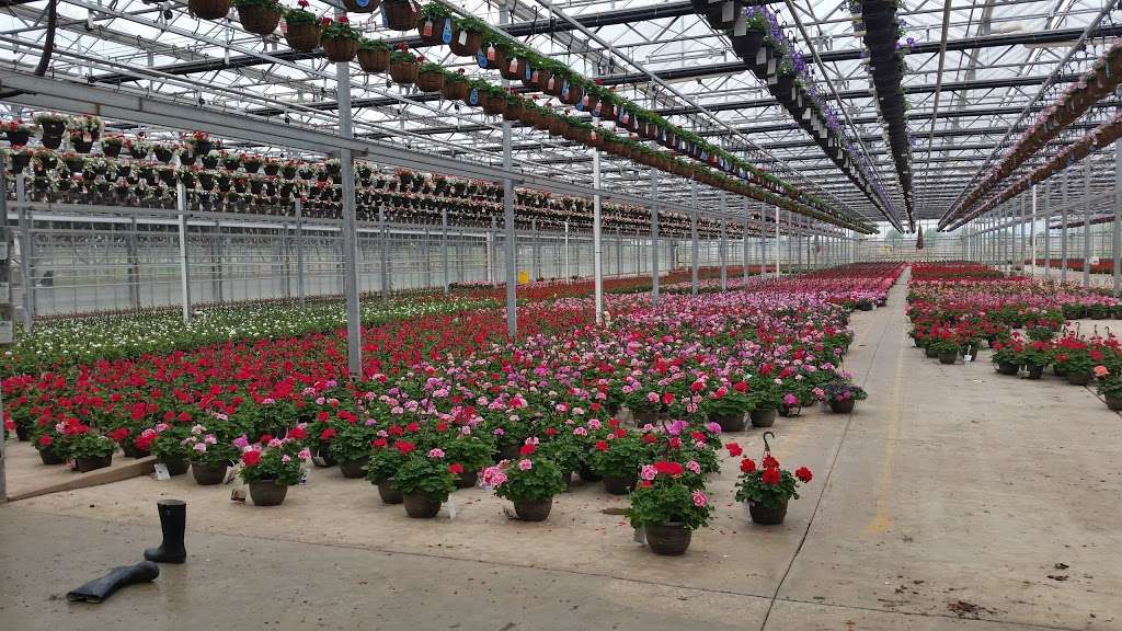 Catoctin Mountain Growers | 8051 Sixes Bridge Rd, Keymar, MD 21757, USA | Phone: (410) 775-7833