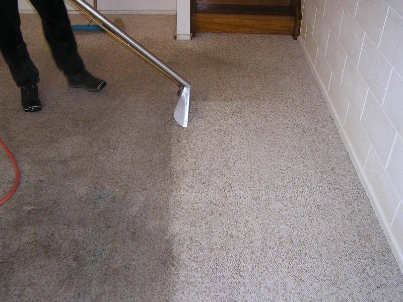 The Colony TX Carpet Cleaning | 6805 Main St, The Colony, TX 75056, USA | Phone: (469) 305-1378