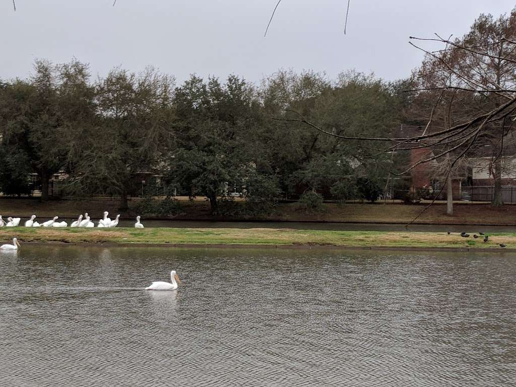 Water’s Way Park | 3299-3201 Vista Lake Dr, Sugar Land, TX 77478, USA