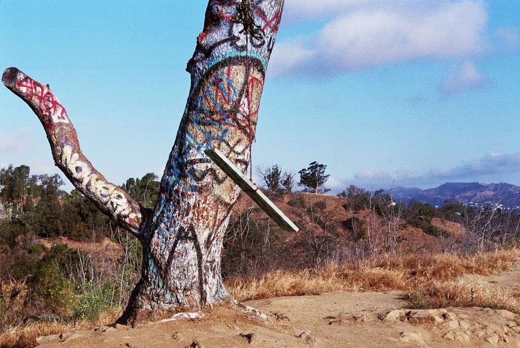 The Hidden Swing | Elysian Park Dr, Los Angeles, CA 90012, USA