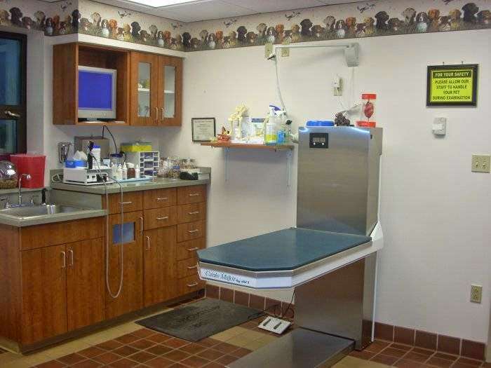 VCA Dunmore Animal Hospital | 1317 E Drinker St, Dunmore, PA 18512, USA | Phone: (570) 344-7651