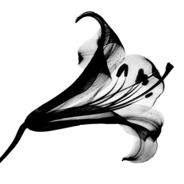 kristanicole designs | 2317, 3324 21st St, San Francisco, CA 94110, USA