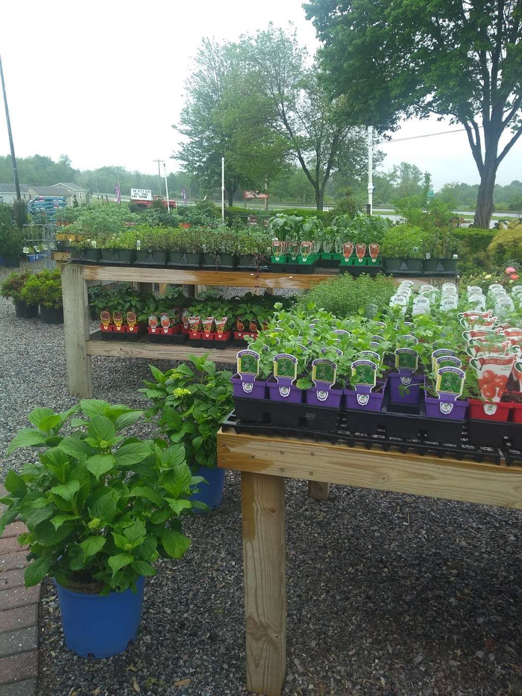 Sweet Valley Farms Market & Nursery | 1034 US-202, Ringoes, NJ 08551, USA | Phone: (908) 806-3276