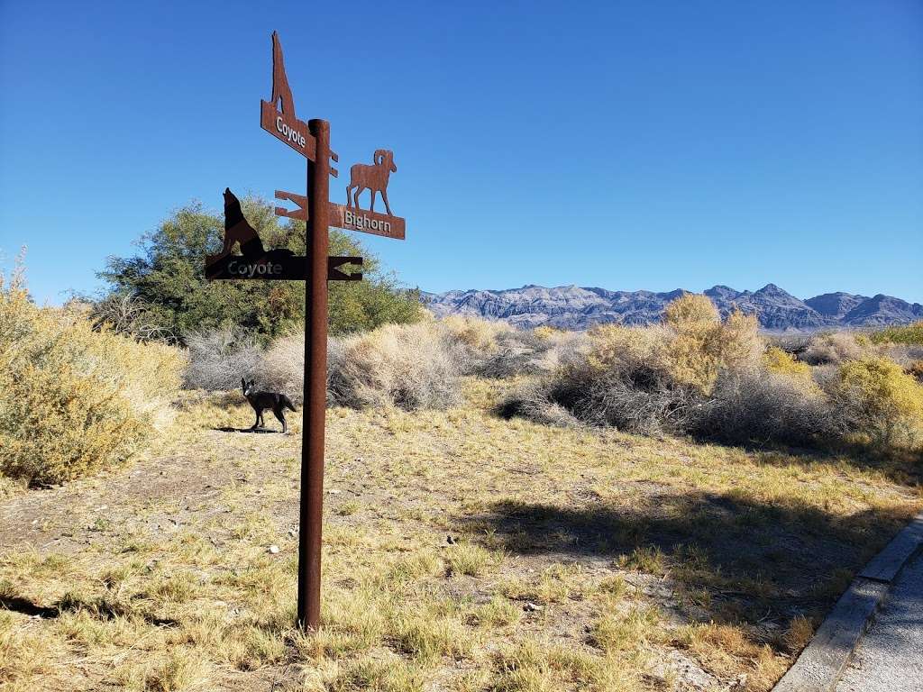 Desert National Wildlife Refuge | 16001 Corn Creek Rd, Las Vegas, NV 89124 | Phone: (702) 879-6110