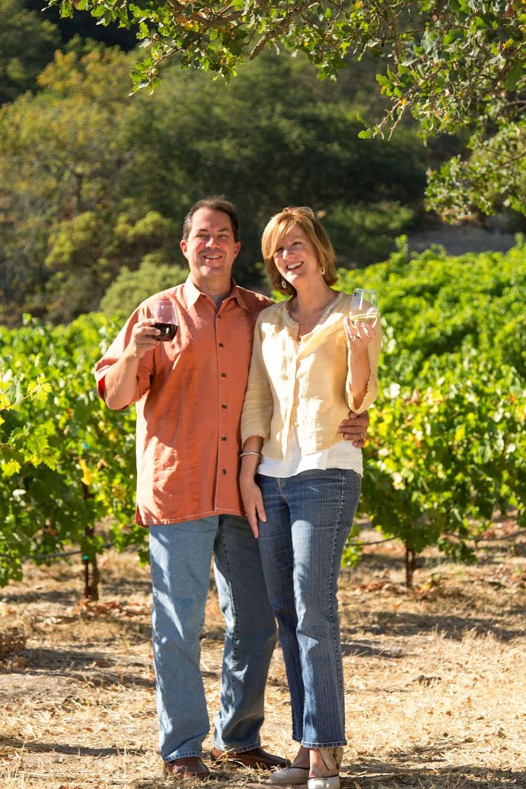 BOWERS Wine Tours | 2114 Imola Ave, Napa, CA 94559, USA | Phone: (707) 474-8466