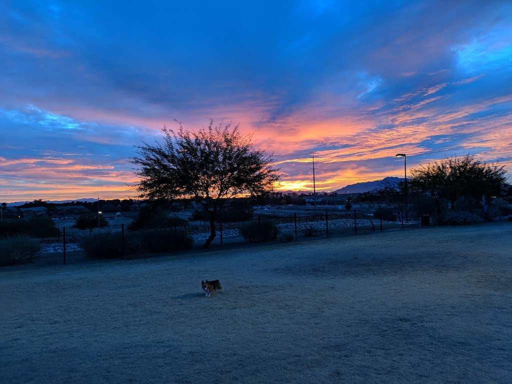 Paseo Vista Recreation Area Bark Park | 3850 S McQueen Rd, Chandler, AZ 85286, USA | Phone: (480) 782-2754