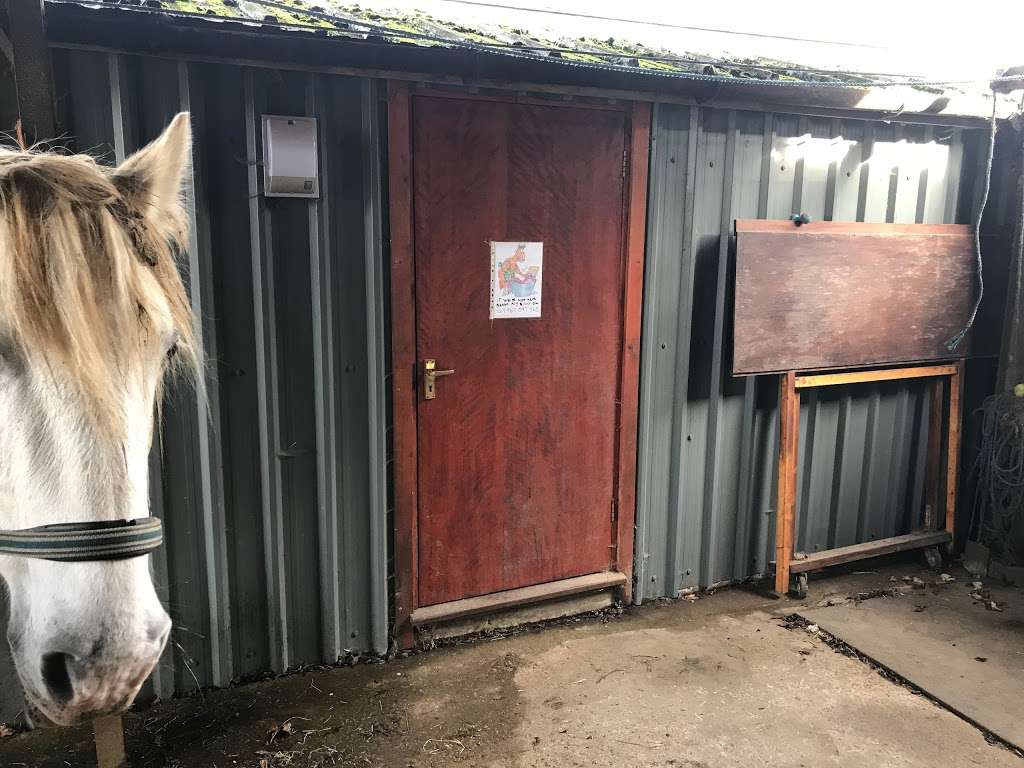 Olivers Farm Horse Rug Laundry | Unit 5, Hill Park Farm, Wrotham Hill Rd, Sevenoaks TN15 7PX, UK | Phone: 07967 097565