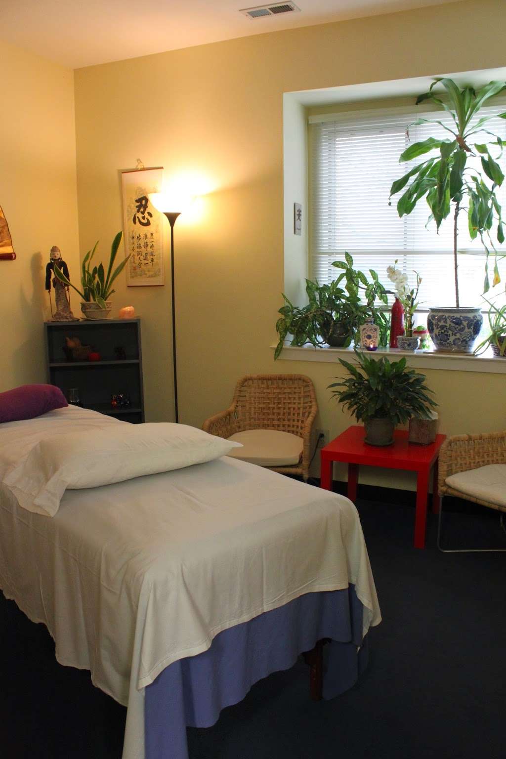 Blue Lotus Acupuncture Center, LLC | 954 Town Center, Doylestown, PA 18901, USA | Phone: (215) 348-7393