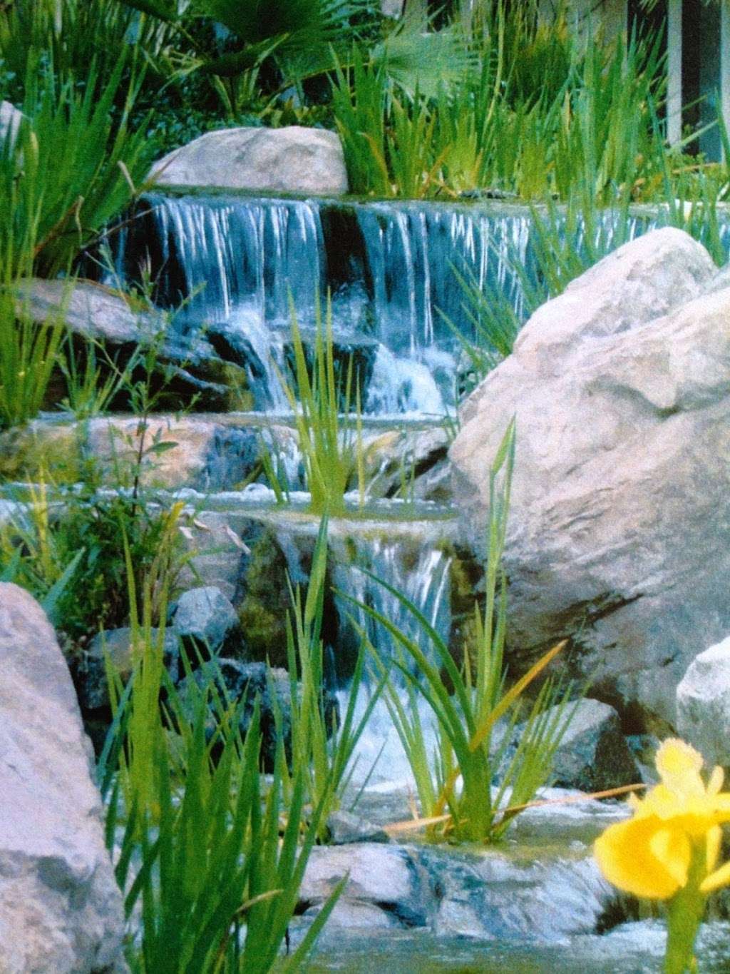 Sunland Water Gardens | 1530, 9948 Sunland Blvd, Sunland-Tujunga, CA 91040, USA | Phone: (818) 353-5131