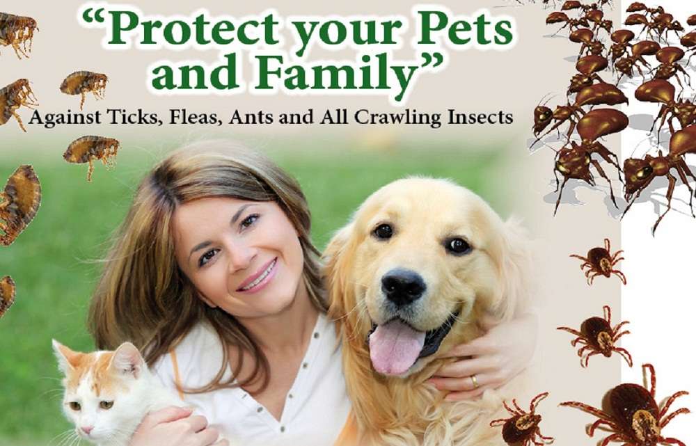 Planet Friendly Pest Control | 1805 Mikes Way, Owings, MD 20736 | Phone: (800) 990-0335