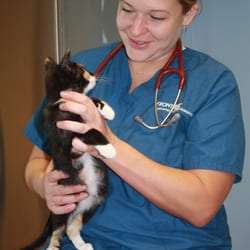 Indy Veterinary Care, Sara Organist, VMD | 2616 Edgemont St, Philadelphia, PA 19125, USA | Phone: (484) 362-7676