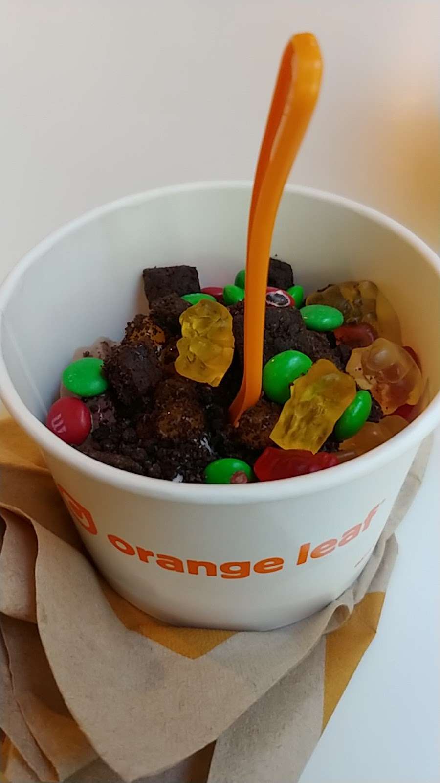 frozen yogurt usa