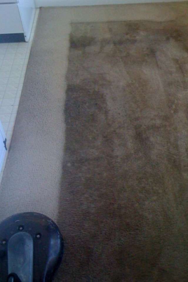 Indiana Carpet & Upholstery | 5998 E State Rd 45, Bloomington, IN 47408, USA | Phone: (812) 333-1870