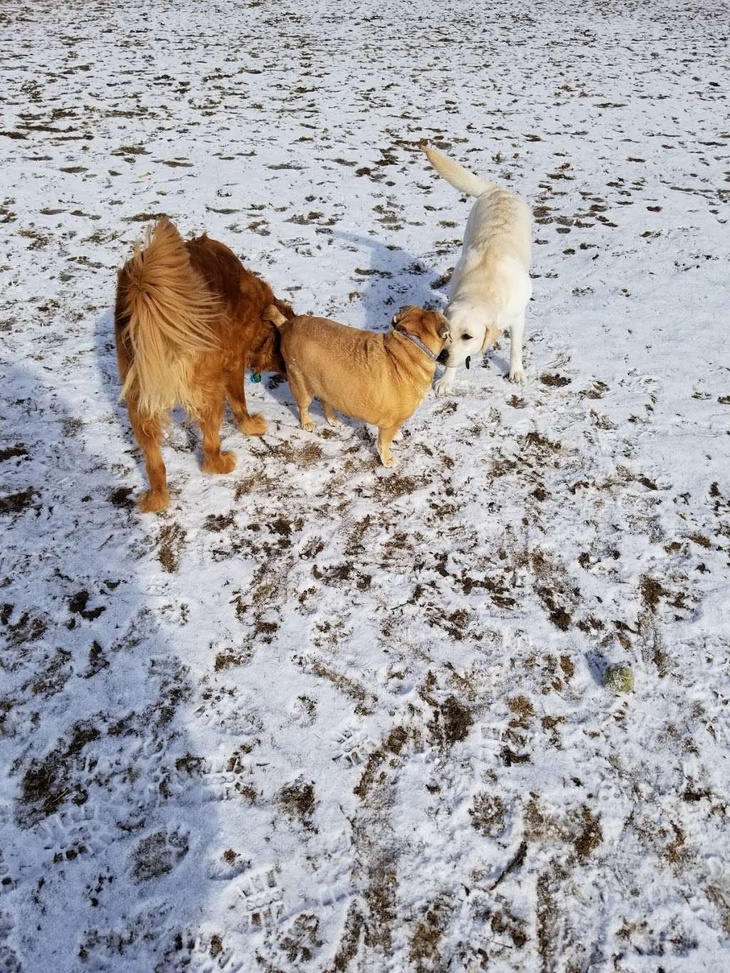 Off-Leash Dog Park | 24100 75th St, Salem, WI 53168, USA