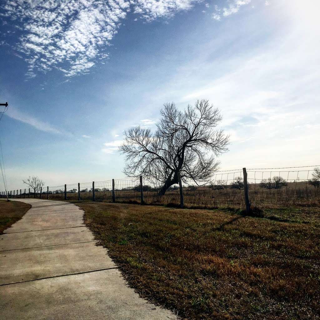 Mitchell Lake Trailhead | San Antonio, TX 78221, USA