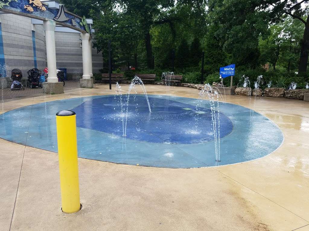 Kids Water Play Area | Brookfield, IL 60513, USA