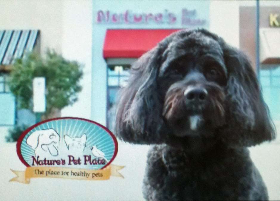 Natures Pet Place LLC | 1446 Baltimore St, Hanover, PA 17331, USA | Phone: (717) 632-2000