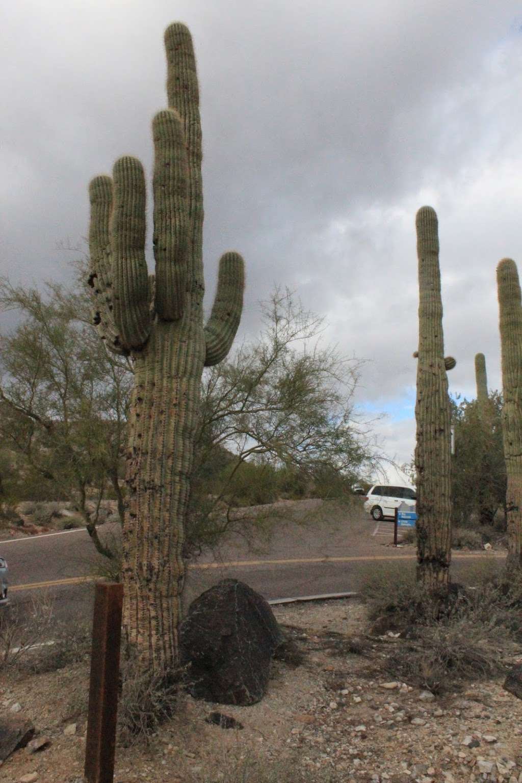 South Mountain Ranger Station | 10998 S Central Ave, Phoenix, AZ 85042, USA