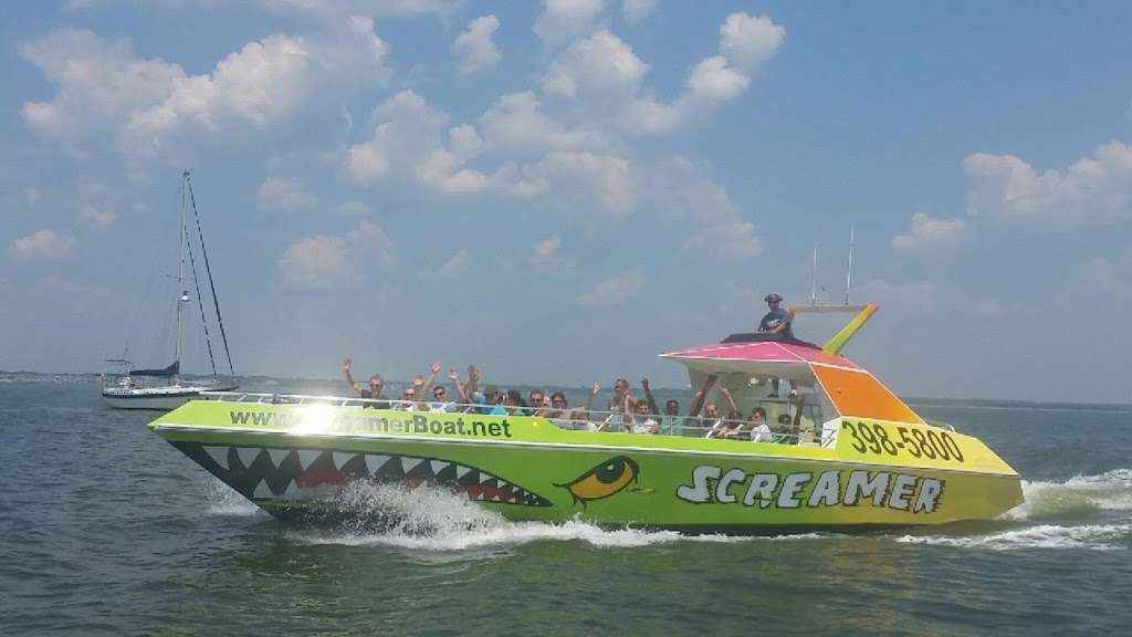 Screamer Speedboat & Dolphin Watch | 244 Bay Ave, Ocean City, NJ 08226 | Phone: (609) 398-5800