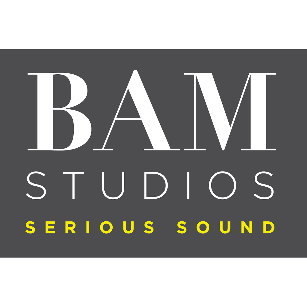 BAM Studios | 2558 W 16th St #555, Chicago, IL 60608, USA | Phone: (312) 255-8862