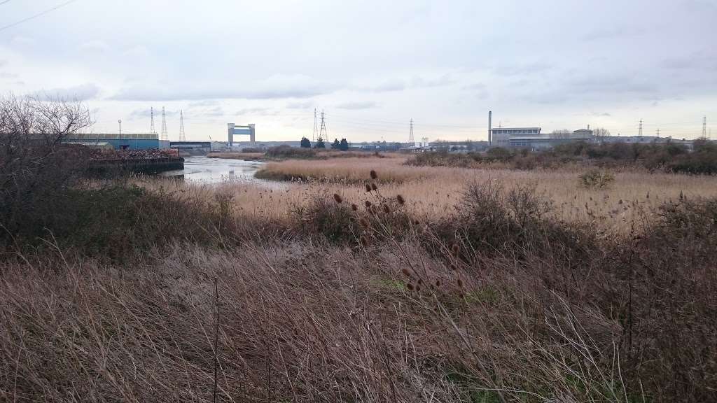 Beckton Creekside Nature Reserve | Barking IG11 0BF, UK