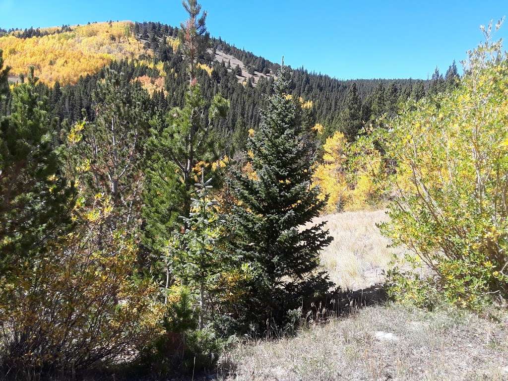 Cumberland Lookout | Blue Jay Way, Idaho Springs, CO 80452, USA