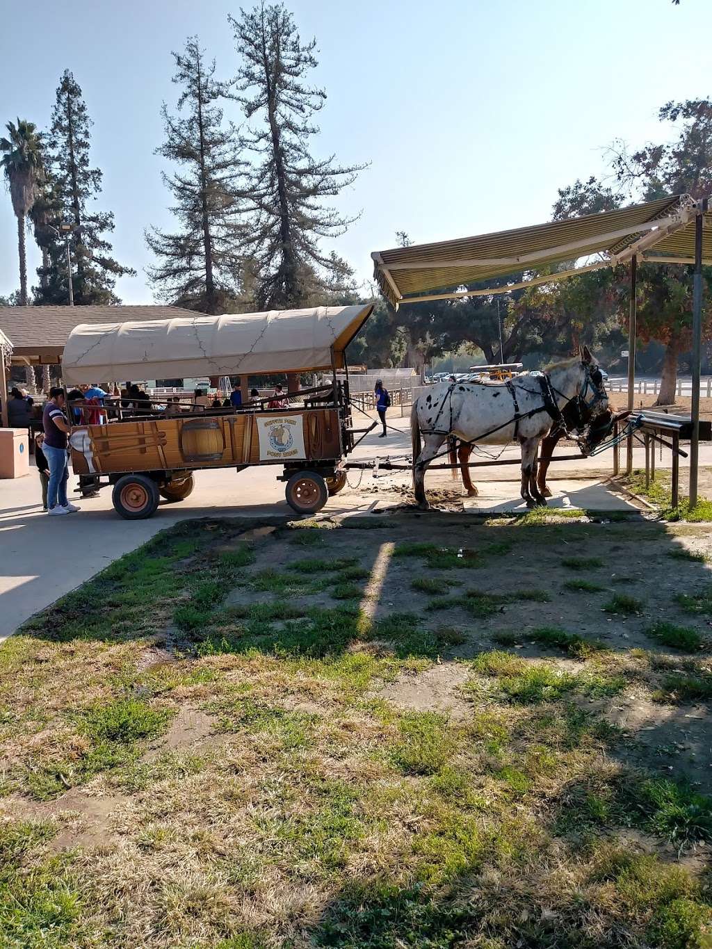 Griffith Park / Pony Rides | Los Angeles, CA 90027, USA