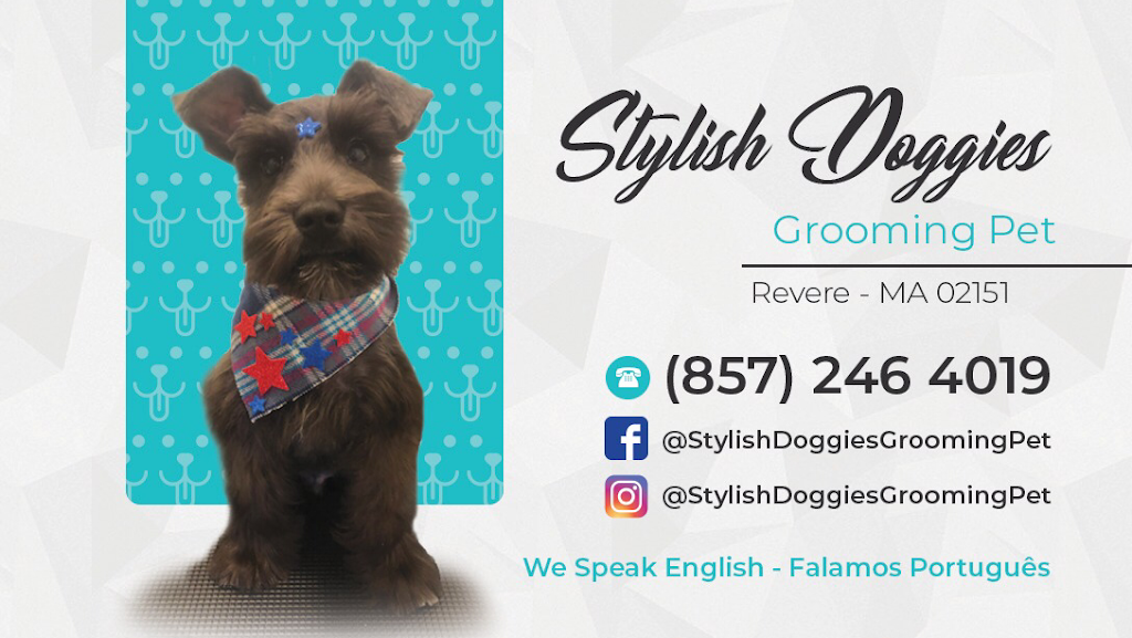 Stlylish Doggies Pet Grooming | 83 Ward St, Revere, MA 02151, USA | Phone: (857) 246-4019