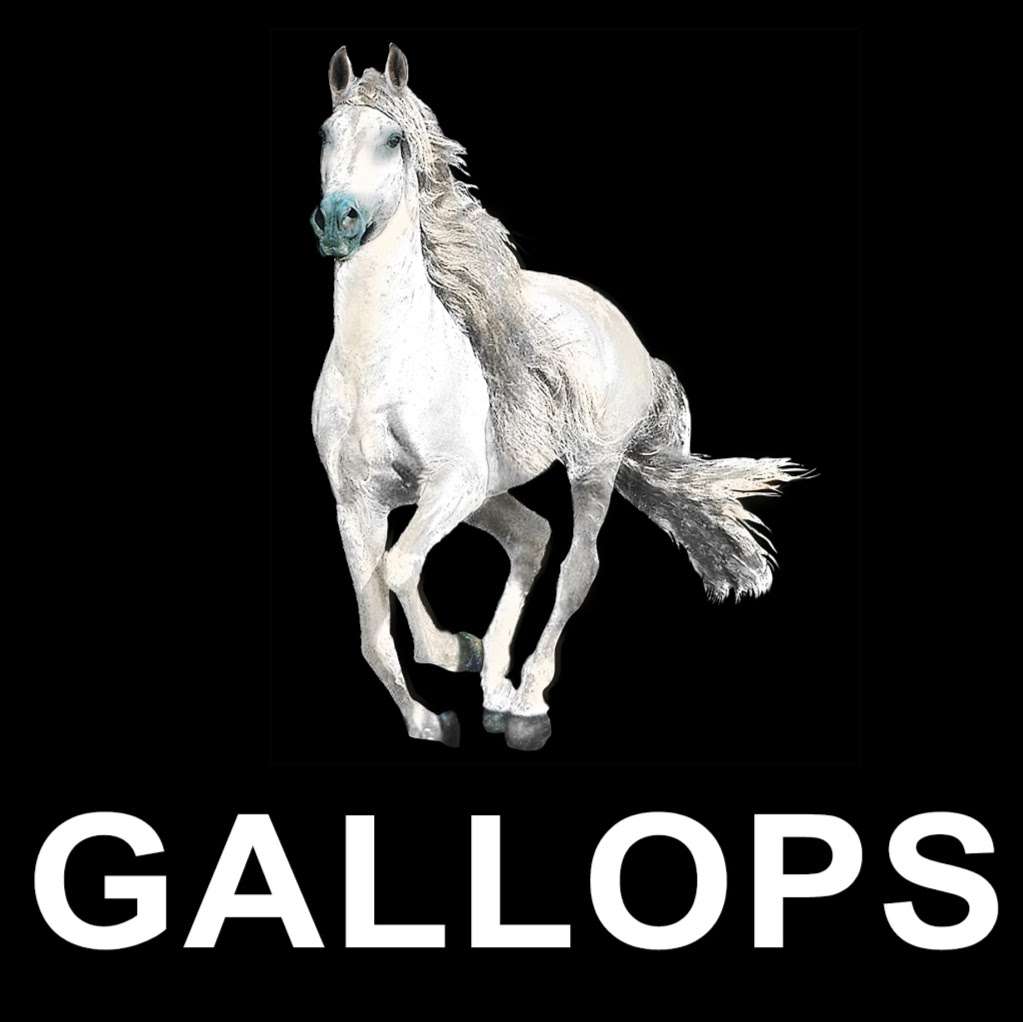 Gallops | 1877 Hwy 20, La Porte, IN 46350, USA | Phone: (219) 325-0034