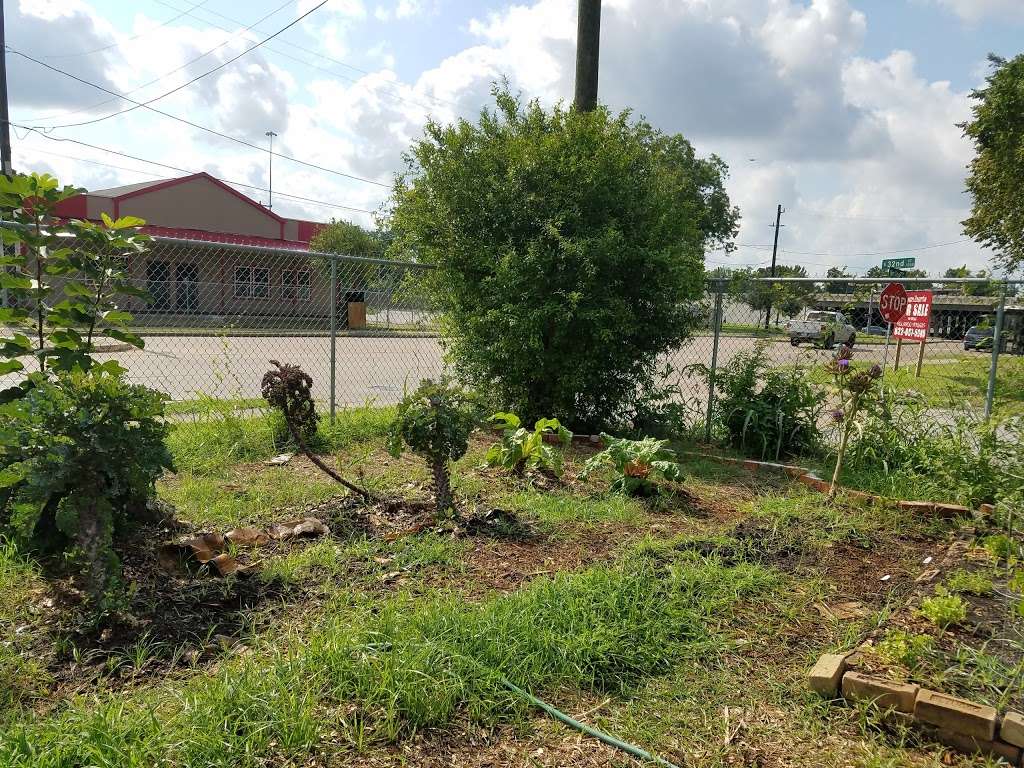 Beautys Community Garden | 3201 Airline Dr, Houston, TX 77022, USA | Phone: (212) 555-0111