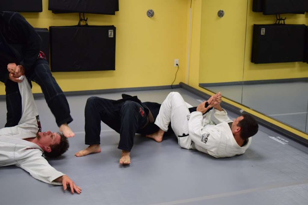 Hillsborough Brazilian Jiu-Jitsu | 30 Brower Ln, Hillsborough Township, NJ 08844, USA | Phone: (201) 320-0640