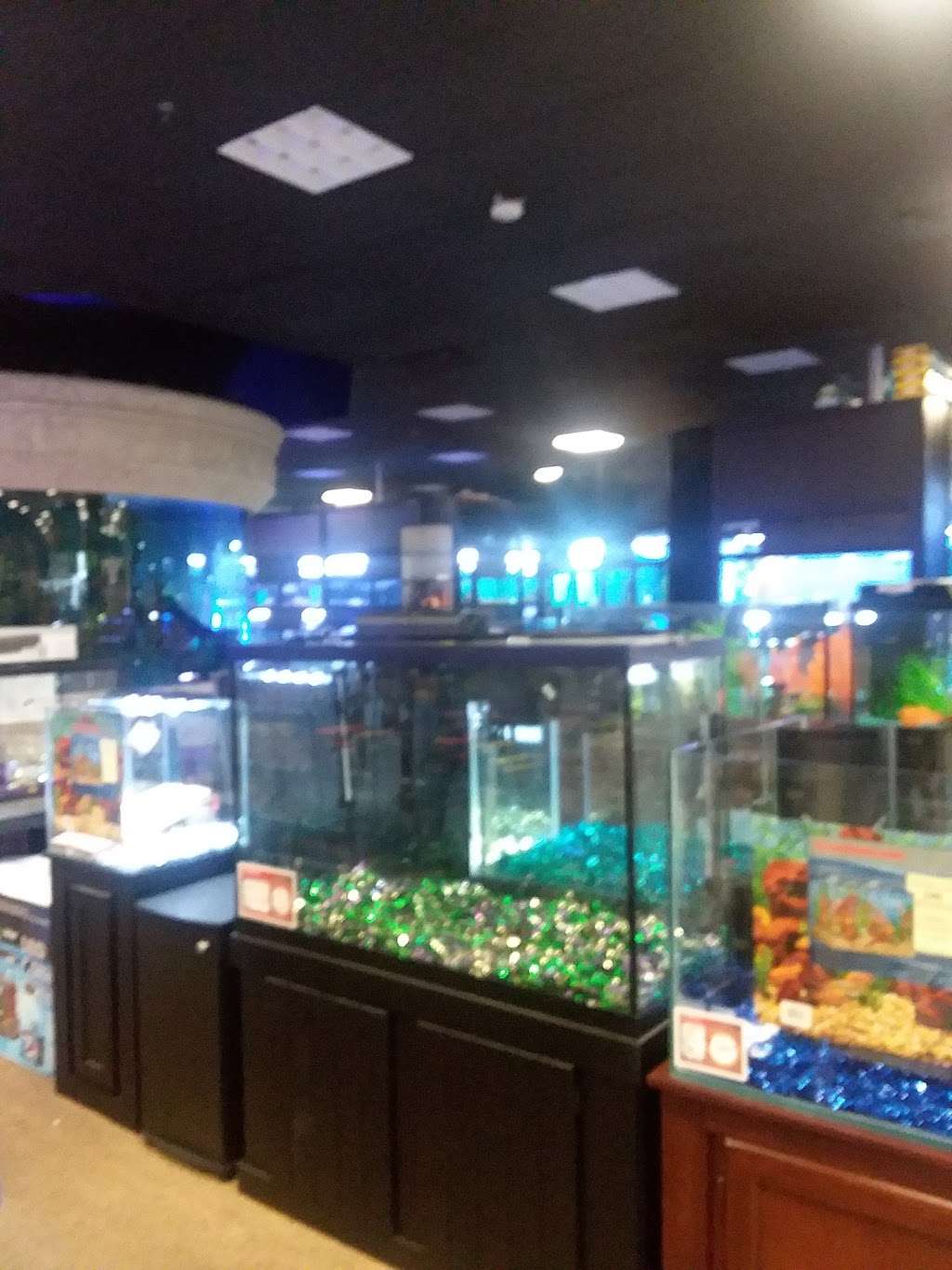 Natural Pet formerly Captain Nemos | 2876 Dekalb Pike, East Norriton, PA 19401 | Phone: (610) 239-1645