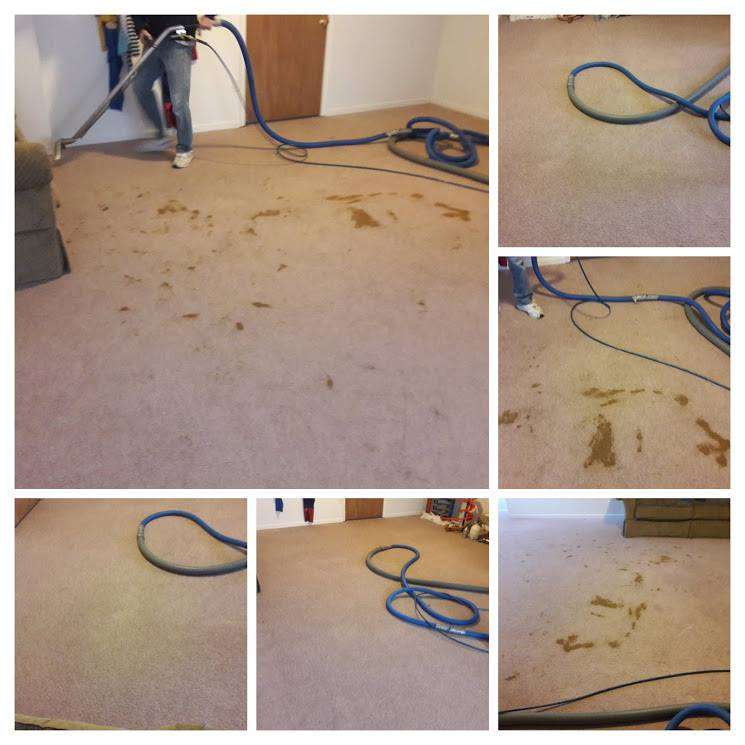 Quality Carpet Cleaning | 1707 S Pearl St, Independence, MO 64055, USA | Phone: (816) 254-0745