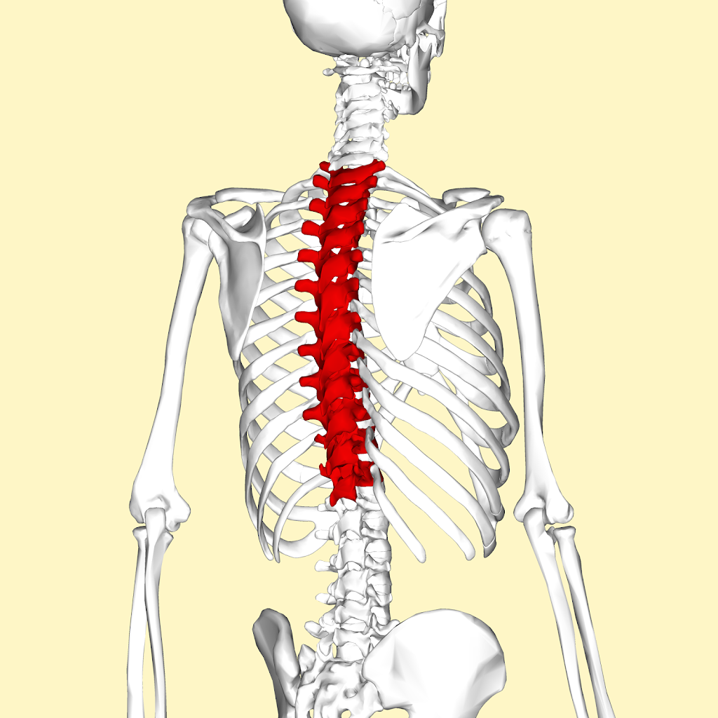 Alexander Technique | 3 Cranes Park Cres, London, Surbiton KT5 8AN, UK | Phone: 020 8390 5735