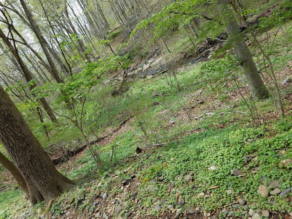 Natural Lands Wawa Preserve | Valley Rd, Media, PA 19063 | Phone: (610) 353-5587