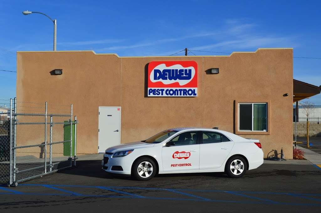 Dewey Pest Control | 45440 23rd St W, Lancaster, CA 93536, USA | Phone: (661) 942-1171