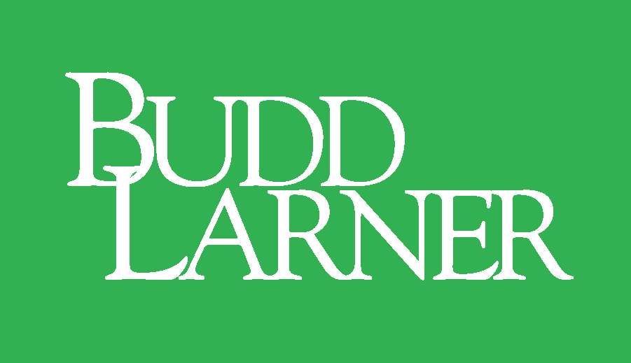 Budd Larner PC | 150 John F Kennedy Pkwy, Short Hills, NJ 07078, USA | Phone: (973) 379-4800