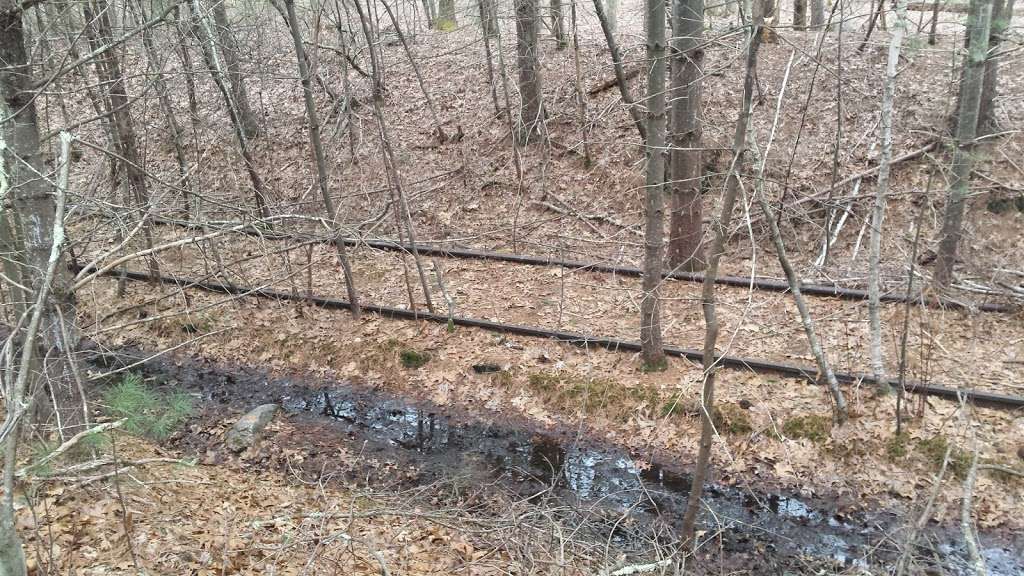 Hopbrook Marsh Conservation Land | Sudbury, MA 01776