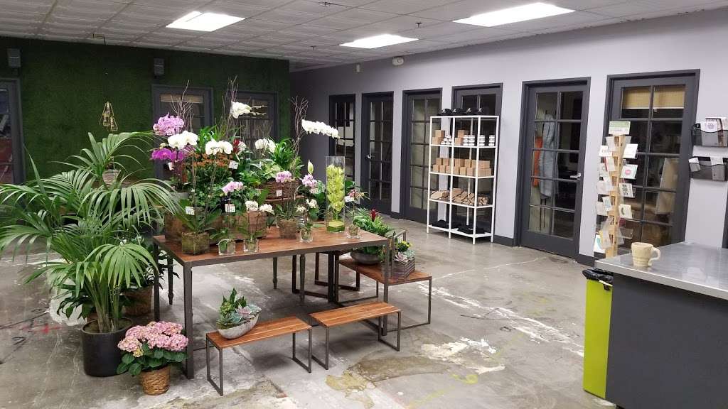 Allens Flowers & Plants | 5225 Lovelock St, San Diego, CA 92110, USA | Phone: (800) 460-5501
