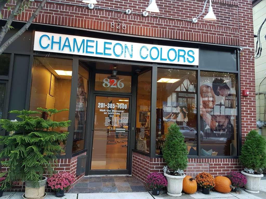 Chameleon Colors | 826 Kinderkamack Rd, River Edge, NJ 07661, USA | Phone: (201) 385-7600