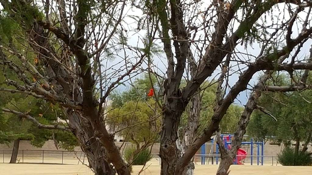 Sandpiper Park | 6530 E Hearn Rd, Phoenix, AZ 85004, USA | Phone: (602) 262-6696