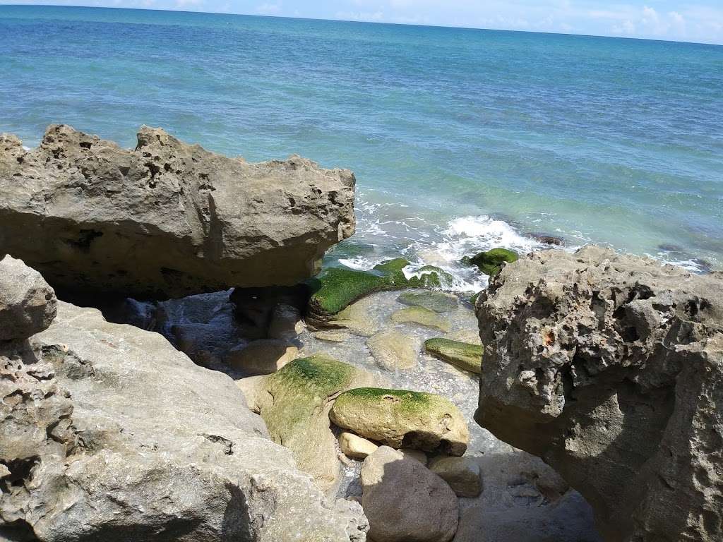 Nature Conservancy Blowing Rocks | 575 S Beach Rd, Hobe Sound, FL 33455, USA | Phone: (561) 744-6668