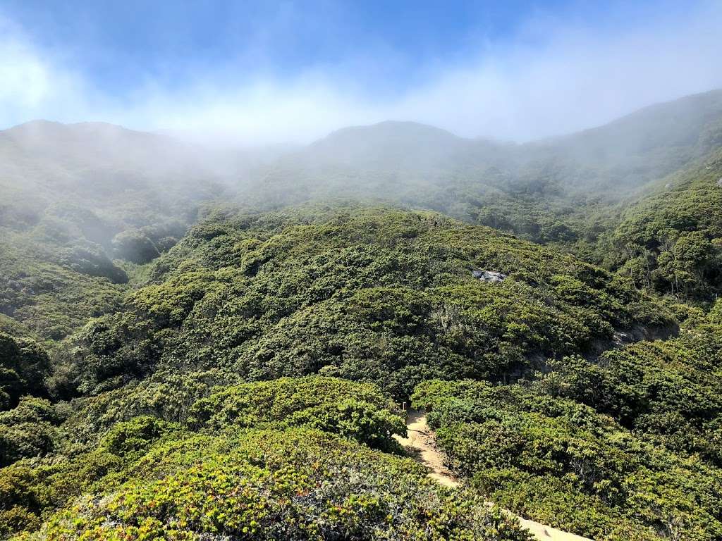 Montara Mountain Hike | 600 Oddstad Blvd, Pacifica, CA 94044, USA | Phone: (650) 355-8289