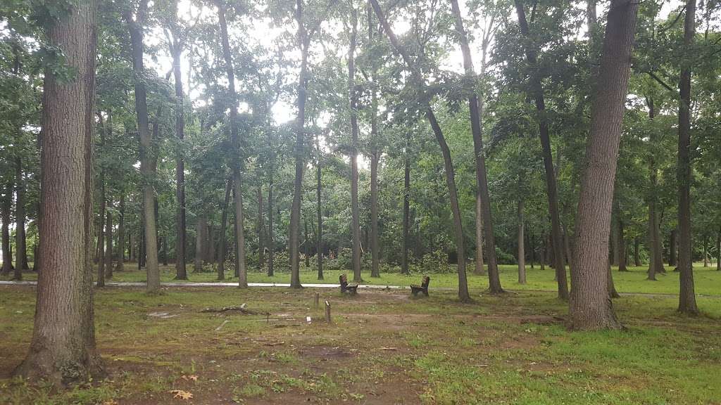 Buttonwood Park | Knightsbridge Rd, Eastampton Township, NJ 08060, USA | Phone: (609) 267-5723