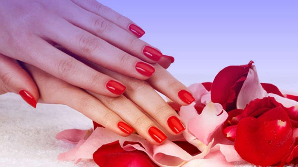 Nail Salon Homewood Nailique Spa | 17747 Halsted St, Homewood, IL 60430, USA | Phone: (708) 922-1187