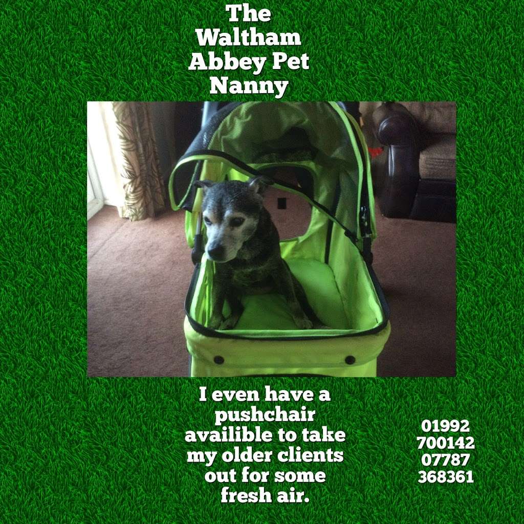 The Waltham Abbey Pet Nanny | 21 Walton Gardens, Waltham Abbey EN9 1BL, UK | Phone: 01992 700142