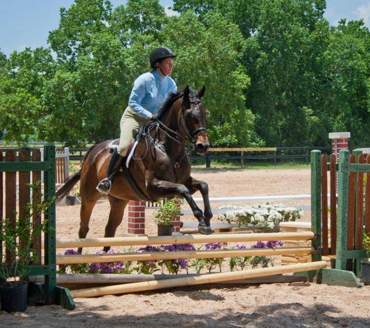 Bridge Equestrian | 19907 Aldine Westfield Rd, Humble, TX 77338, USA | Phone: (281) 979-6151