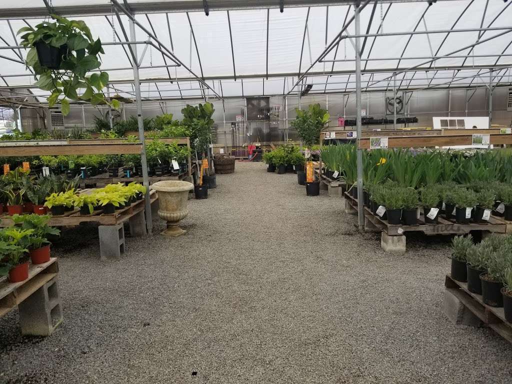 Meadows Farms Nurseries and Landscape | 1725 Berryville Pike, Winchester, VA 22603, USA | Phone: (540) 722-4141