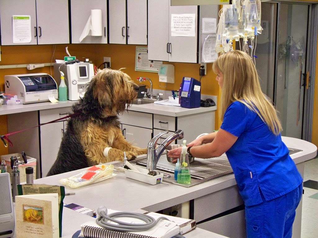 Pets Emergency Hospital | 3629 23rd Ave, Evans, CO 80620 | Phone: (970) 230-7258